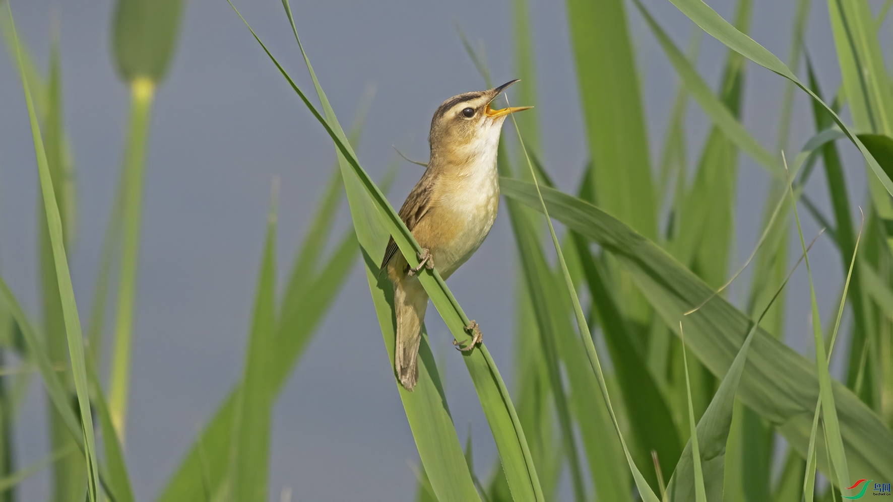 3U2A8638 ���� 2.jpg