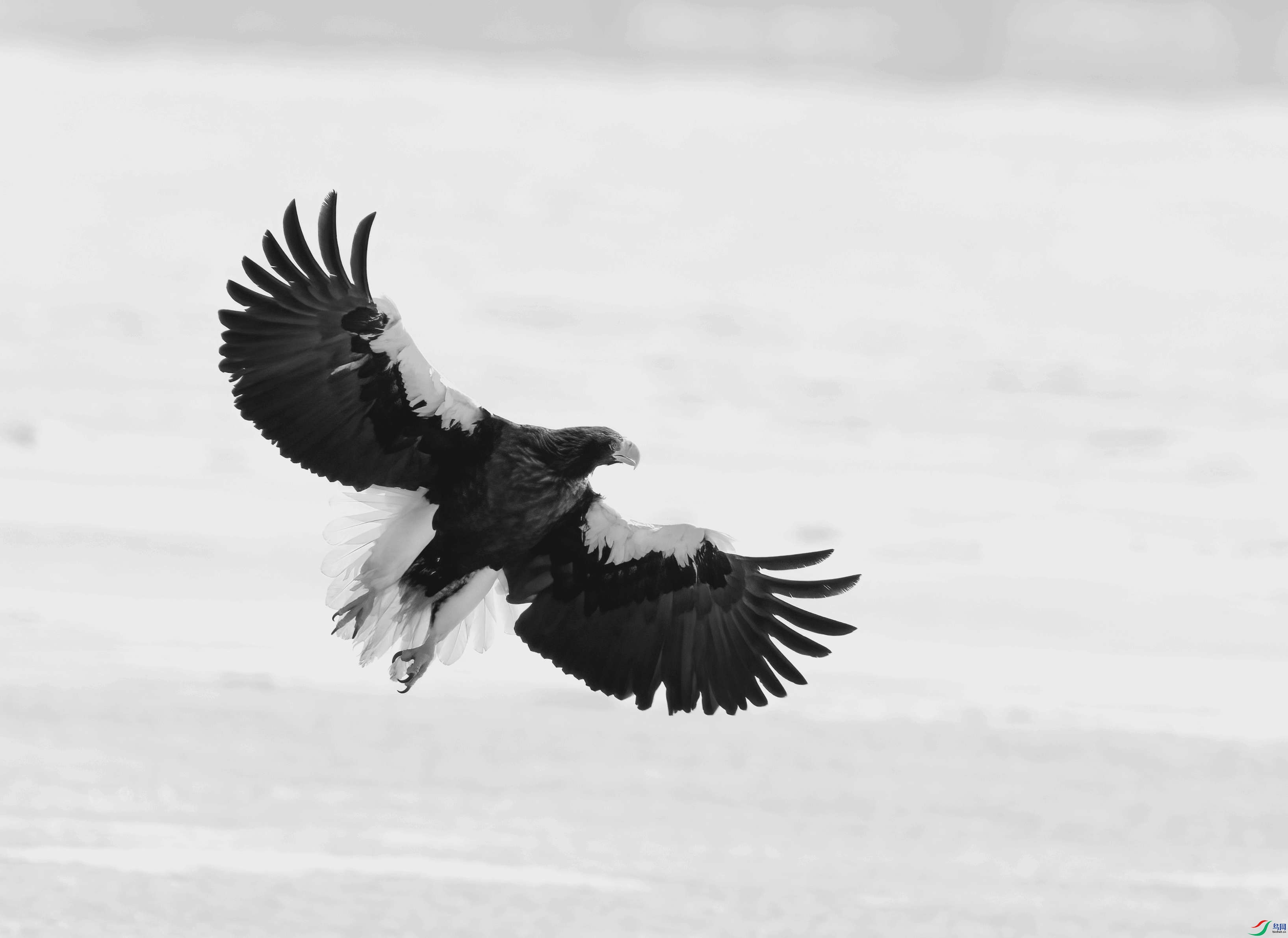 DSC09939 ����_����.jpg