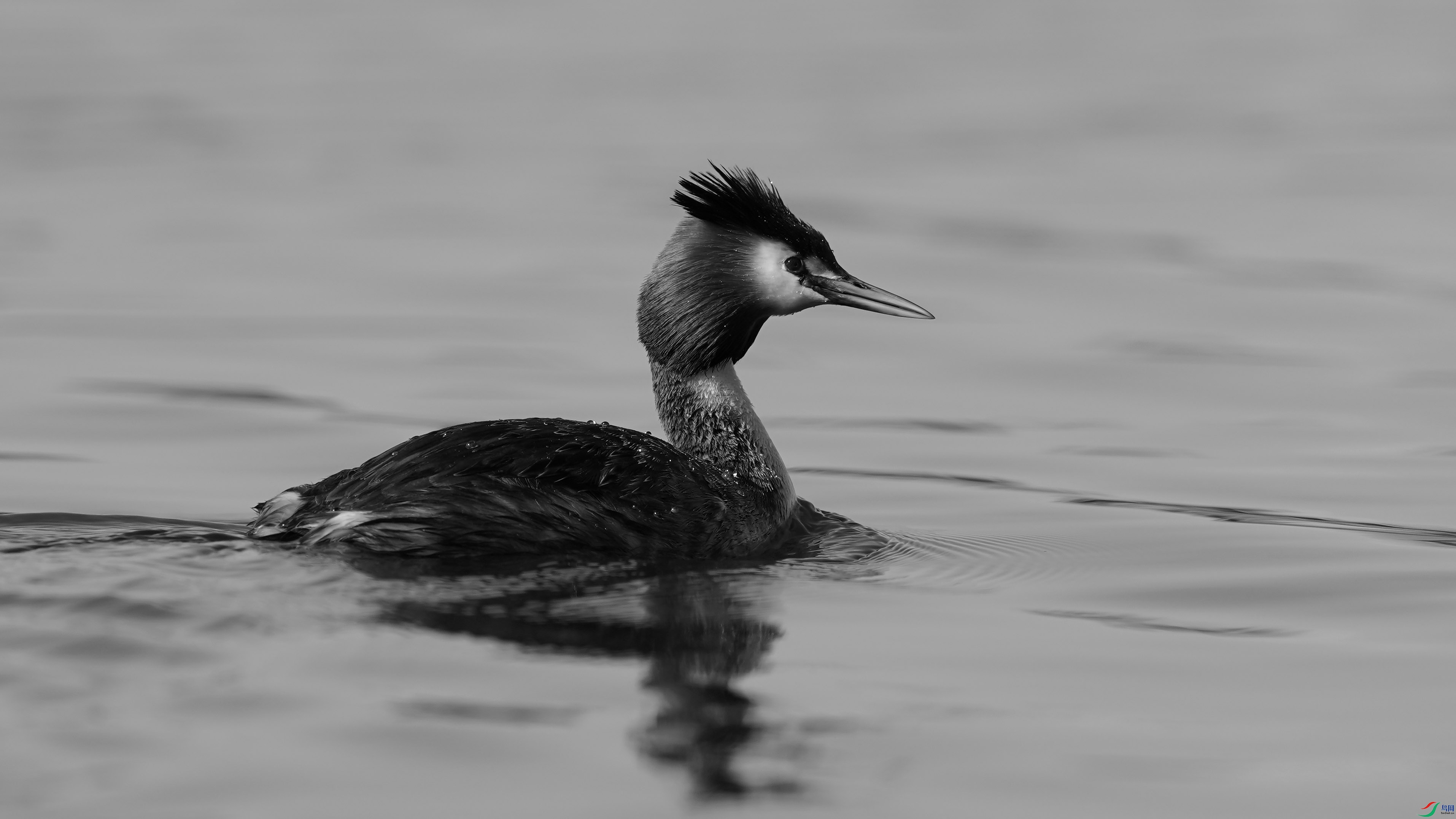 DSC06446 ����H.jpg