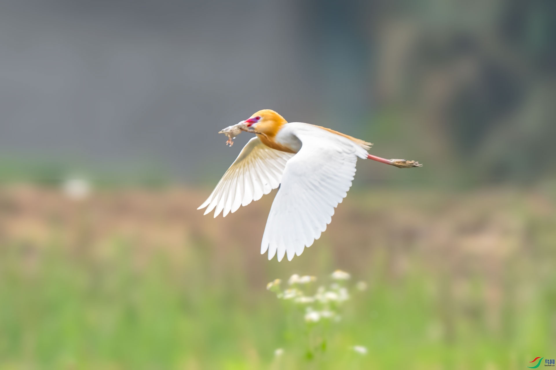 DSC_7421.jpg