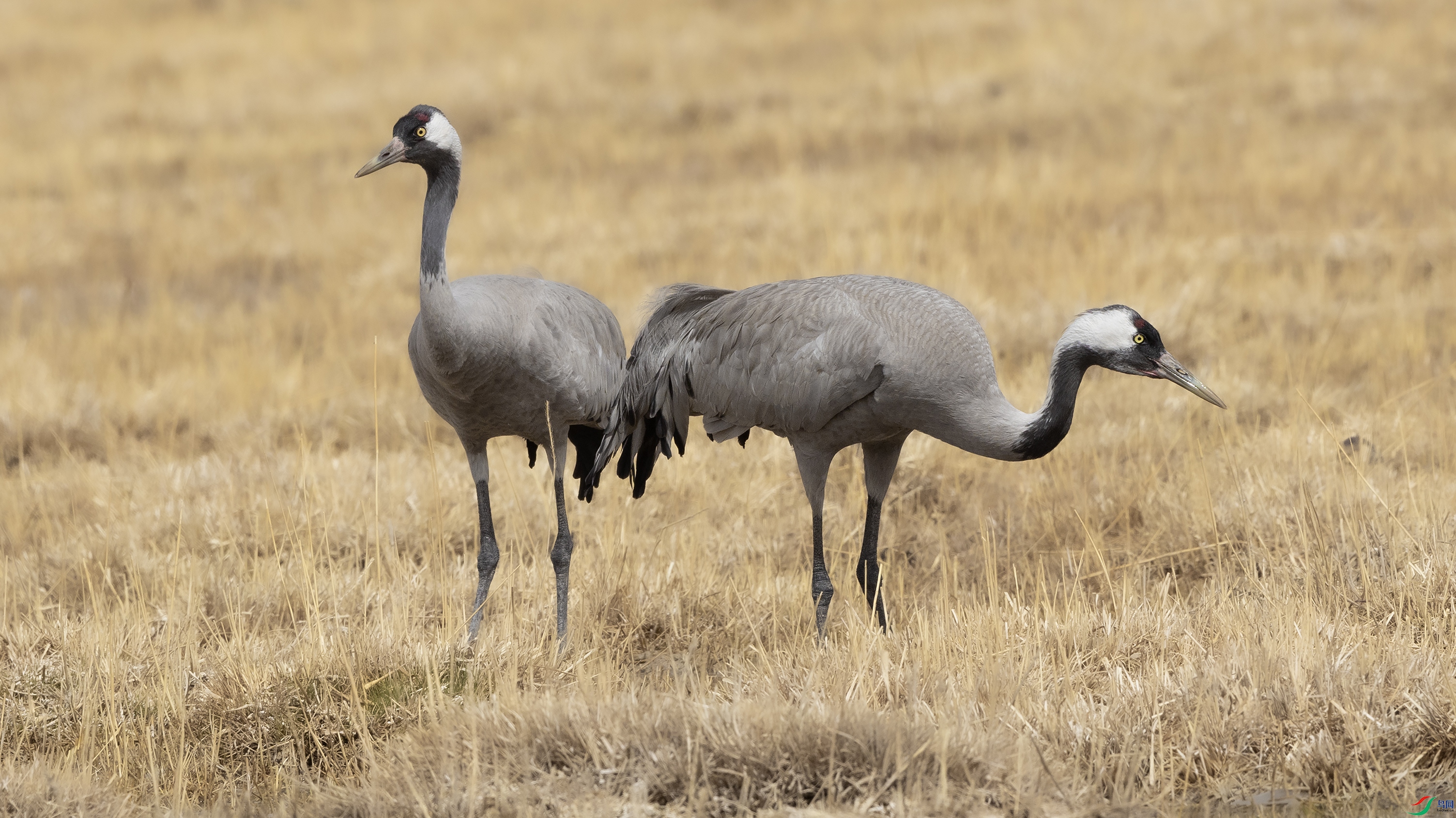 7X5A8648 ����44444.jpg