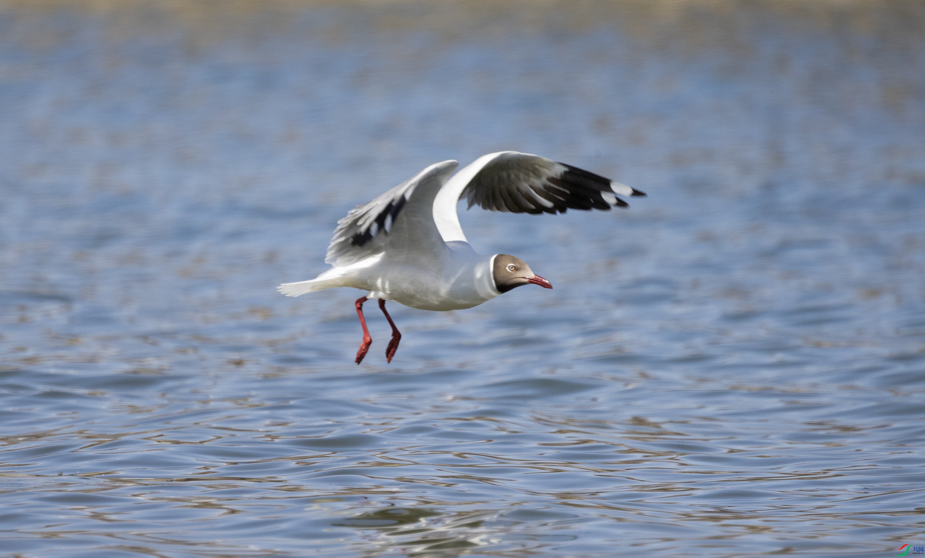 7X5A2770 ����444.jpg