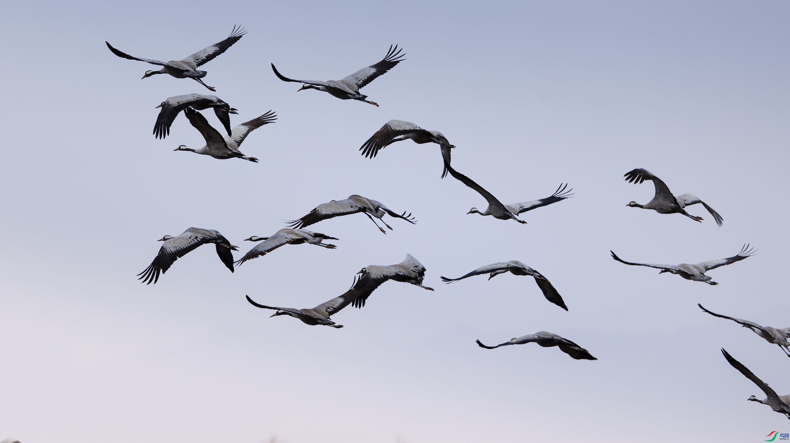 7X5A0115 ����44444.jpg