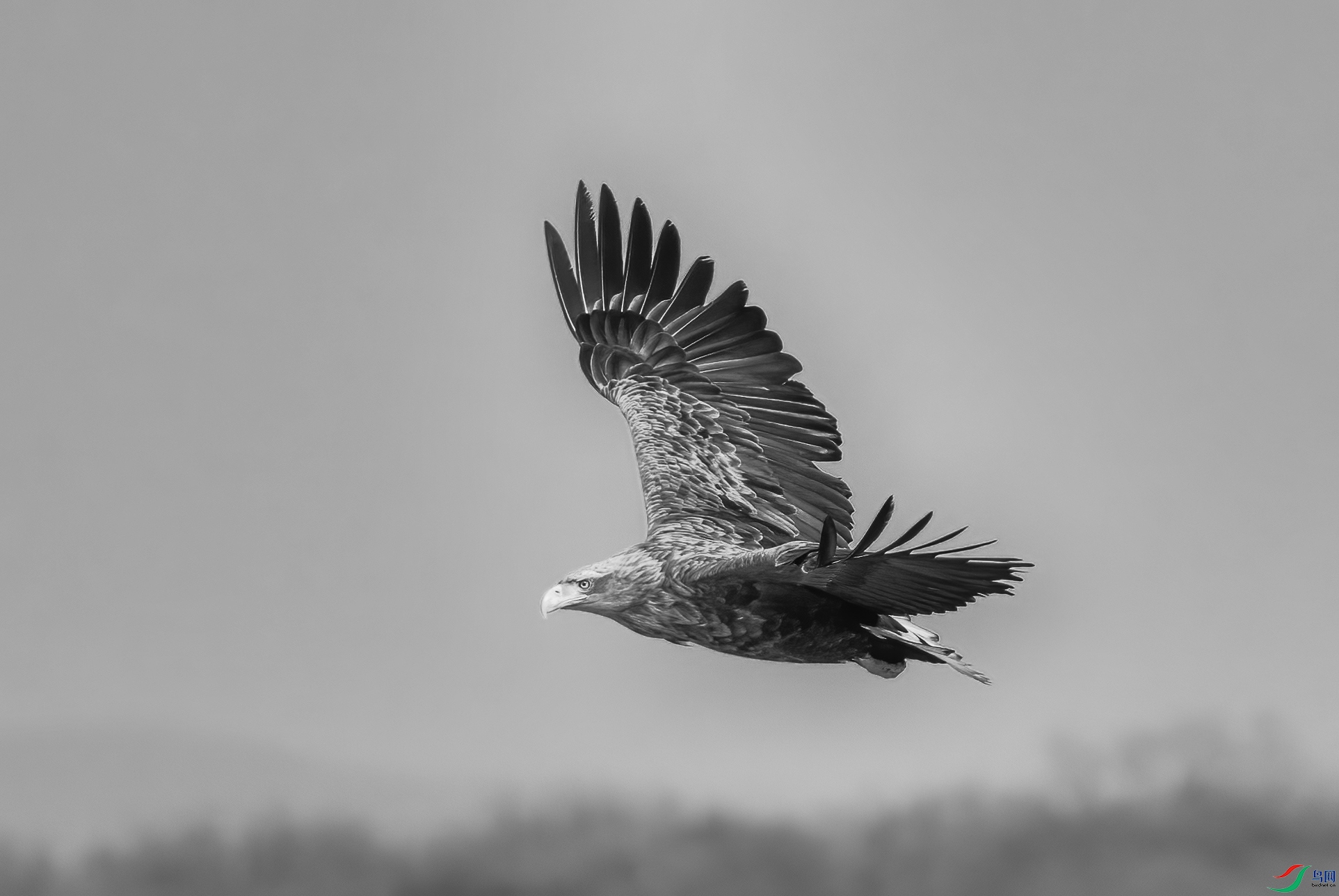 DSC00006 (2) ����.jpg