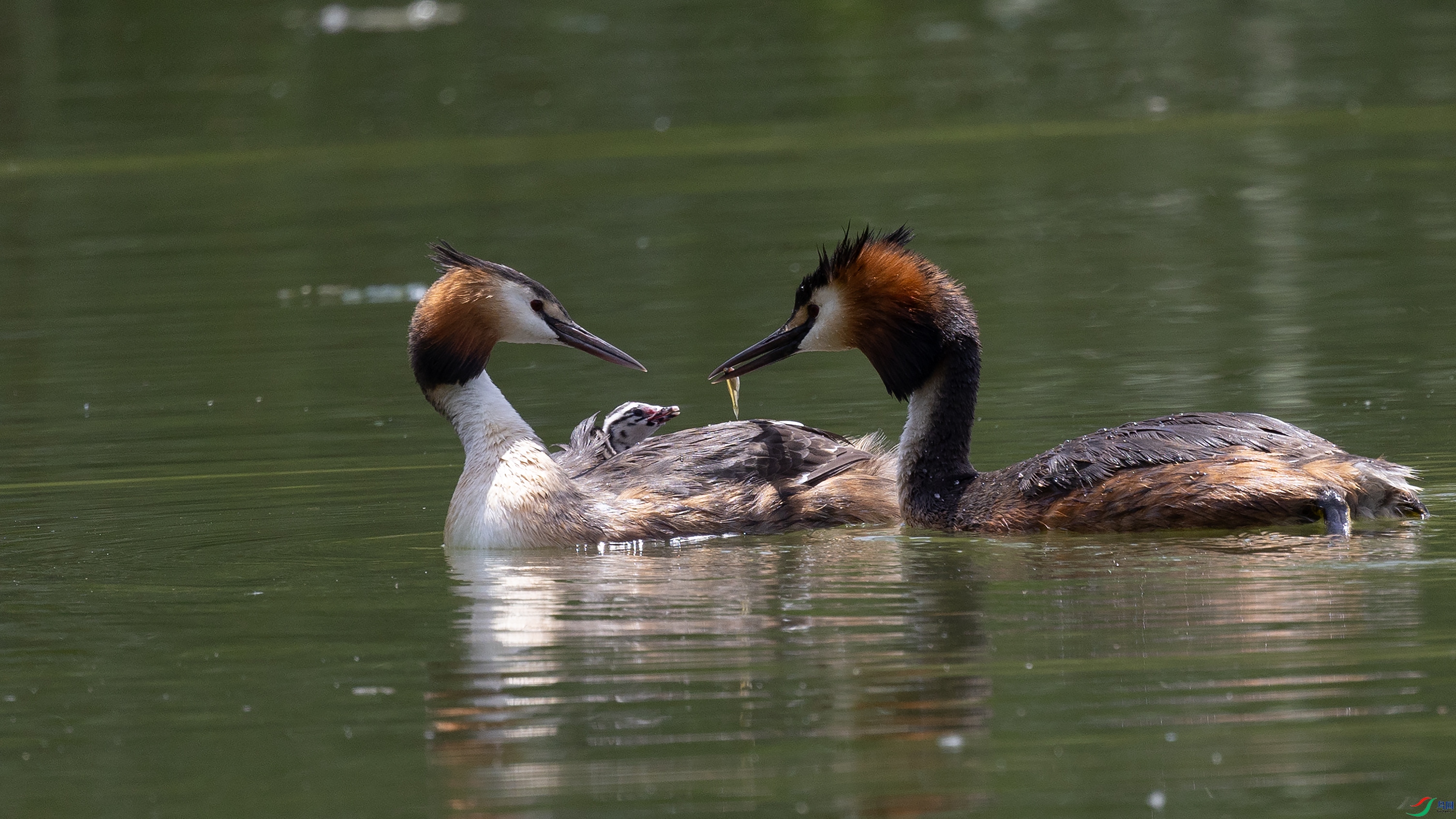 381A0451 ��4444.jpg