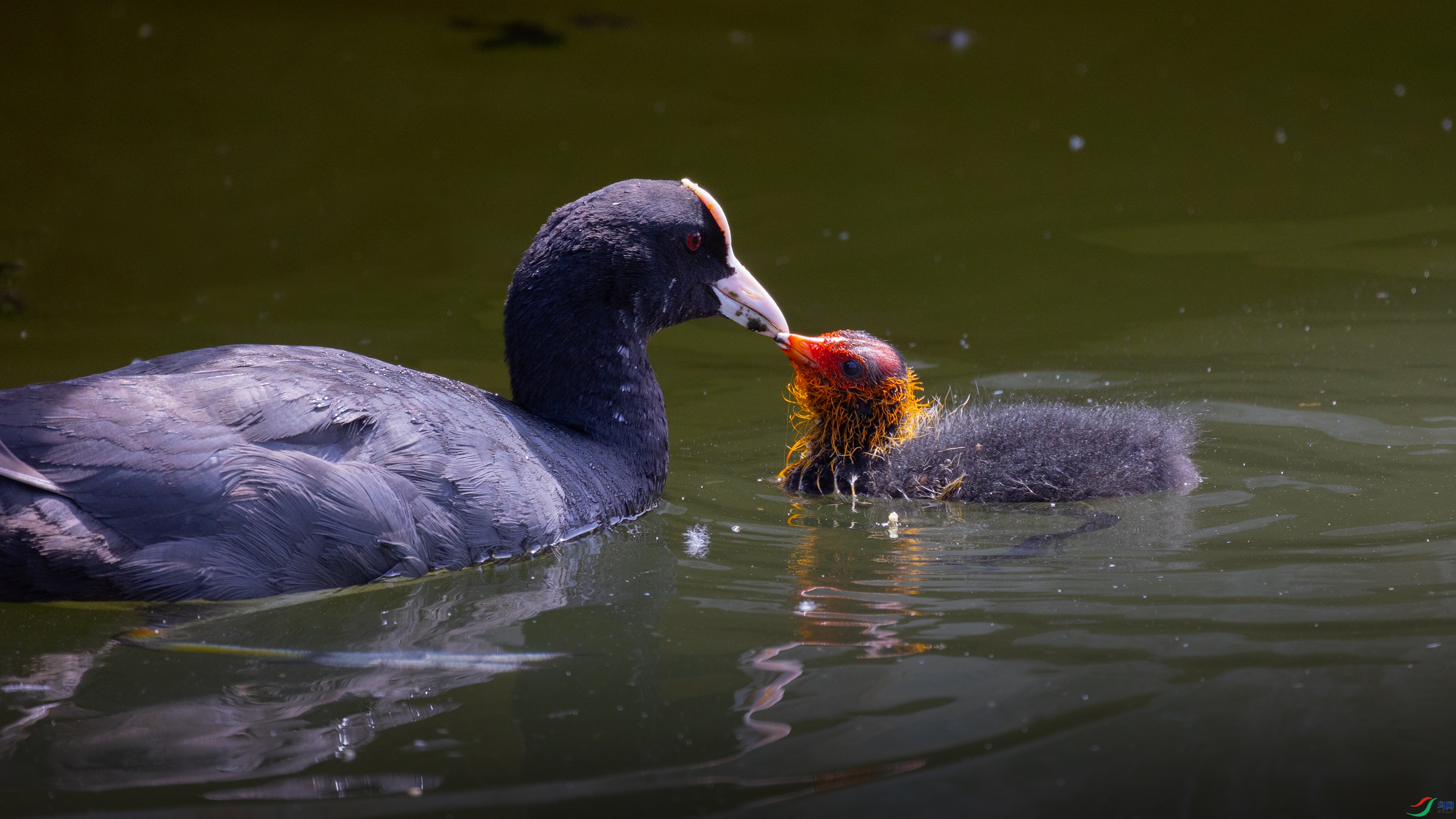 381A1005 ��44444.jpg