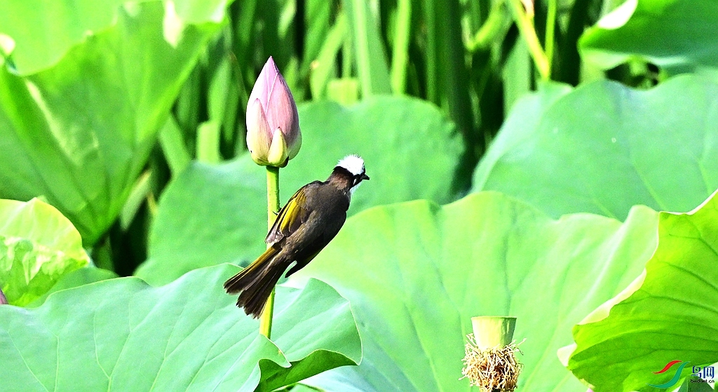 DSC_3010.JPG