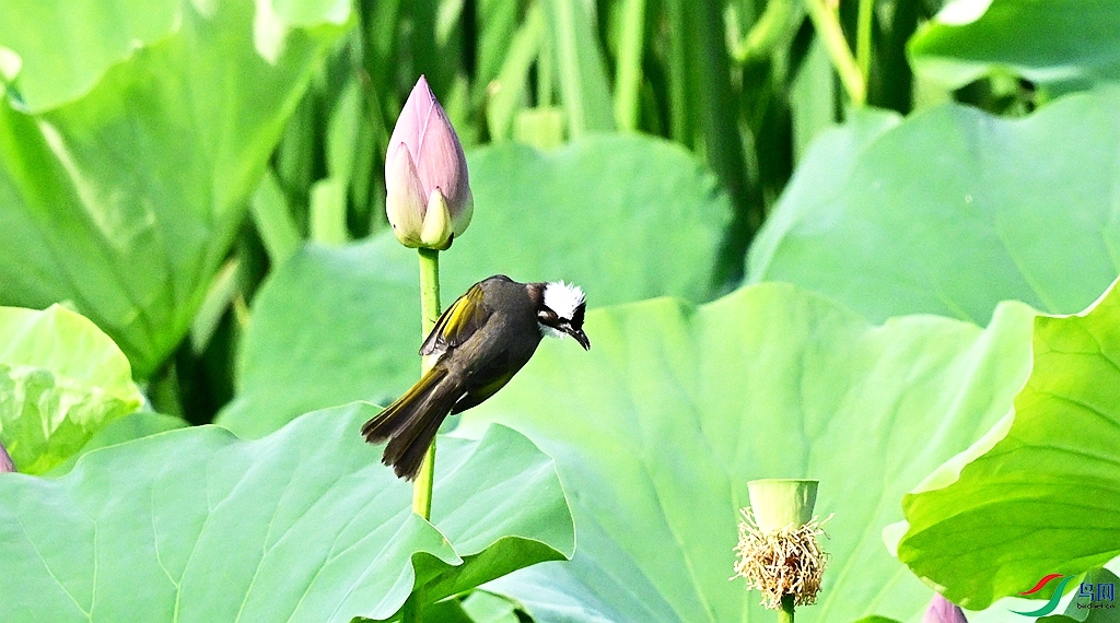 DSC_3012.JPG