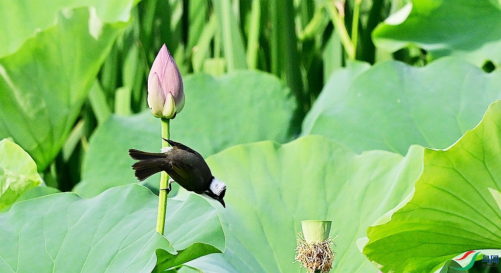 DSC_3015.JPG