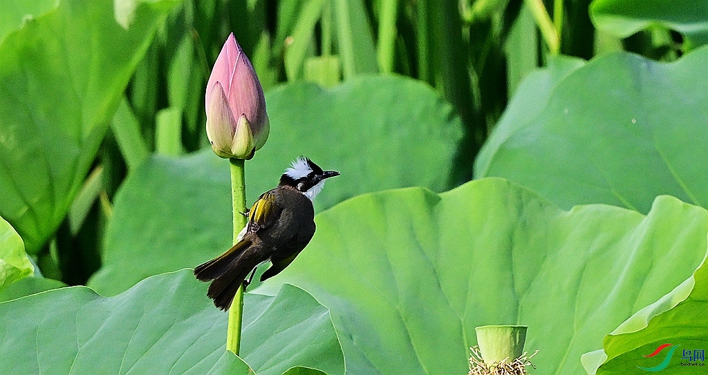 DSC_3029.JPG