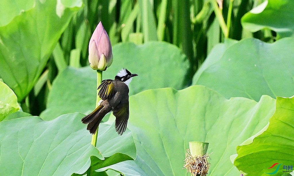 DSC_3033.JPG