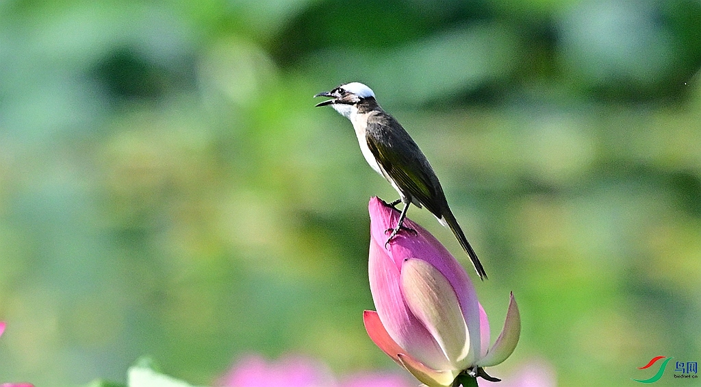 DSC_3182.JPG