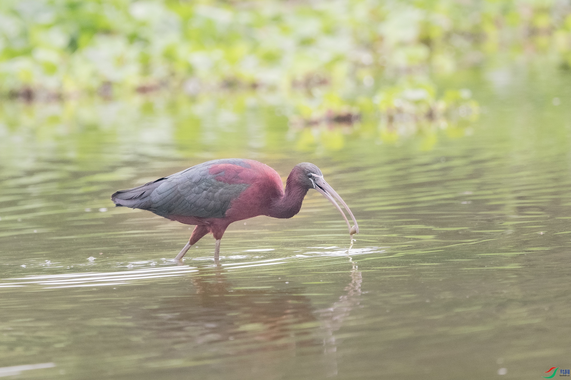 DSC_3346.jpg
