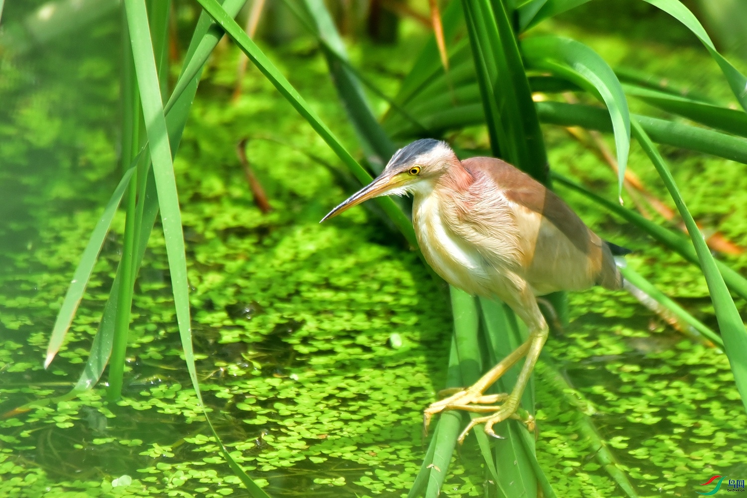 DSC_8066.JPG