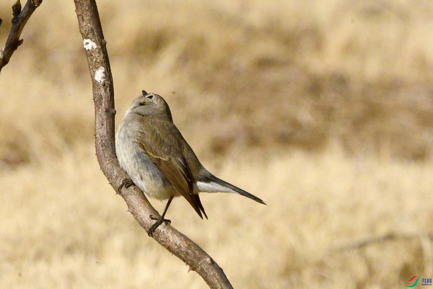 DSC_1848.JPG