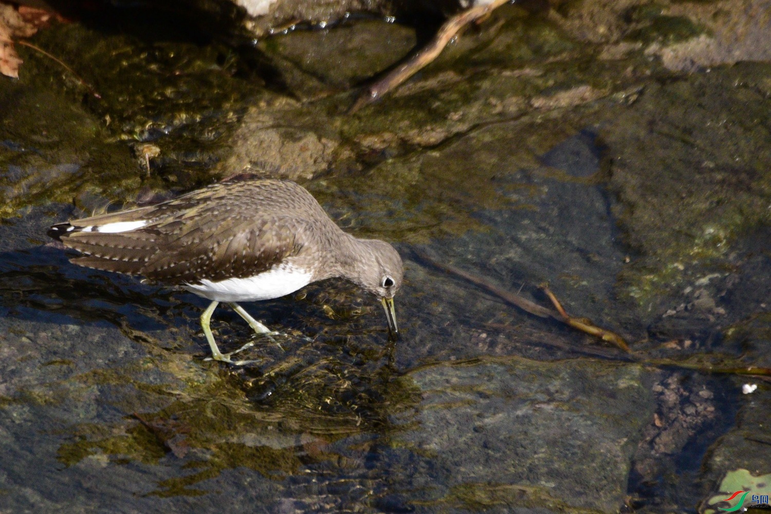 DSC_3658.JPG