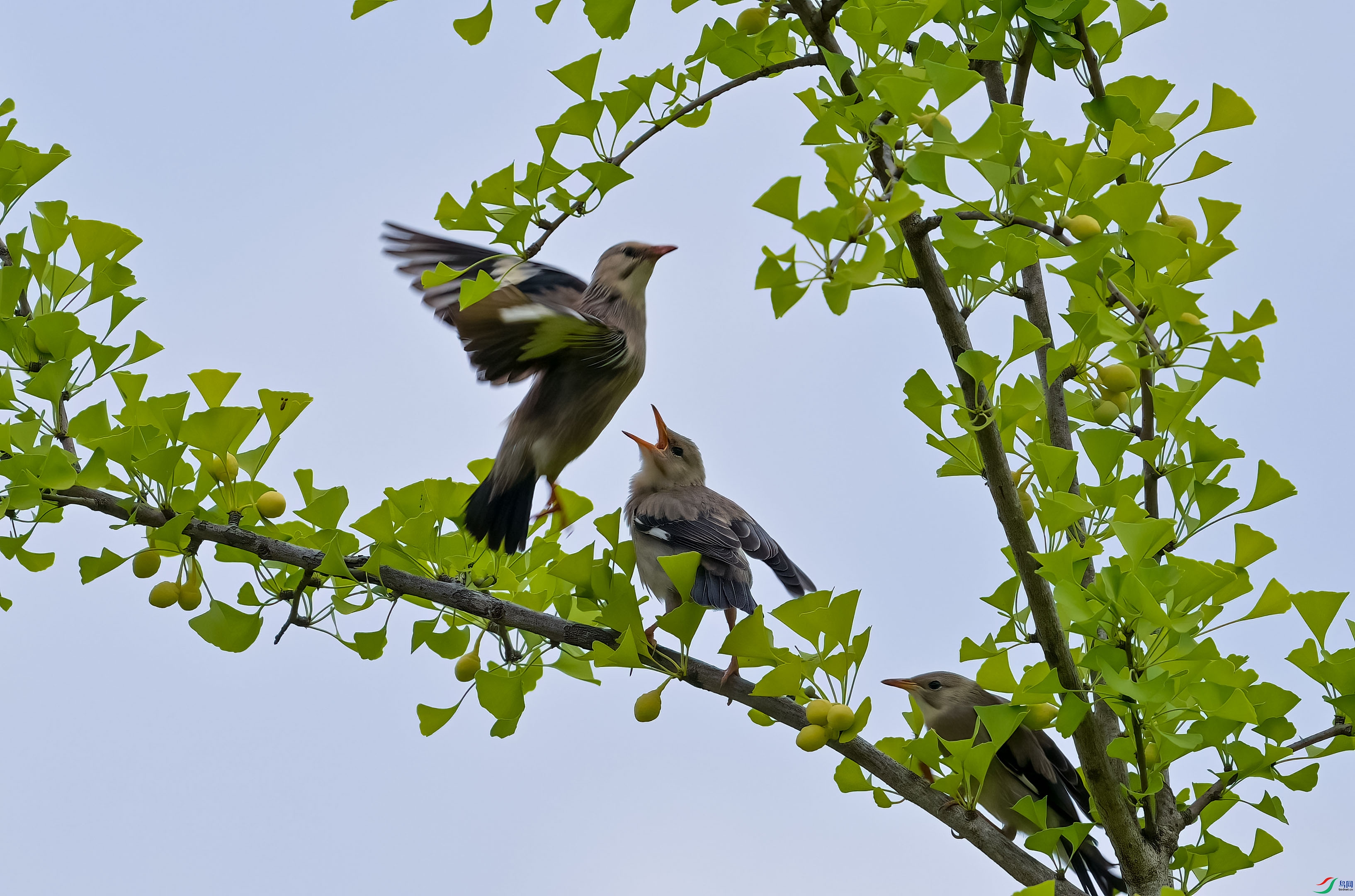 DSC_0964.jpg