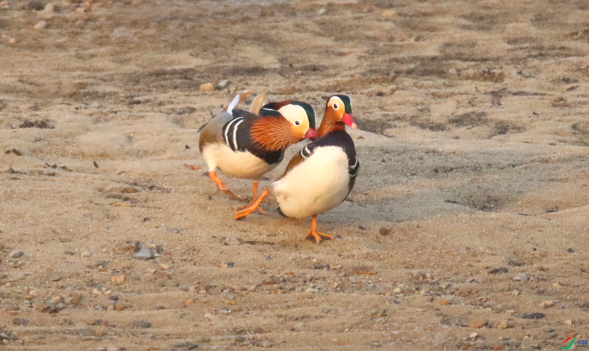 0G1A8474 ����.jpg