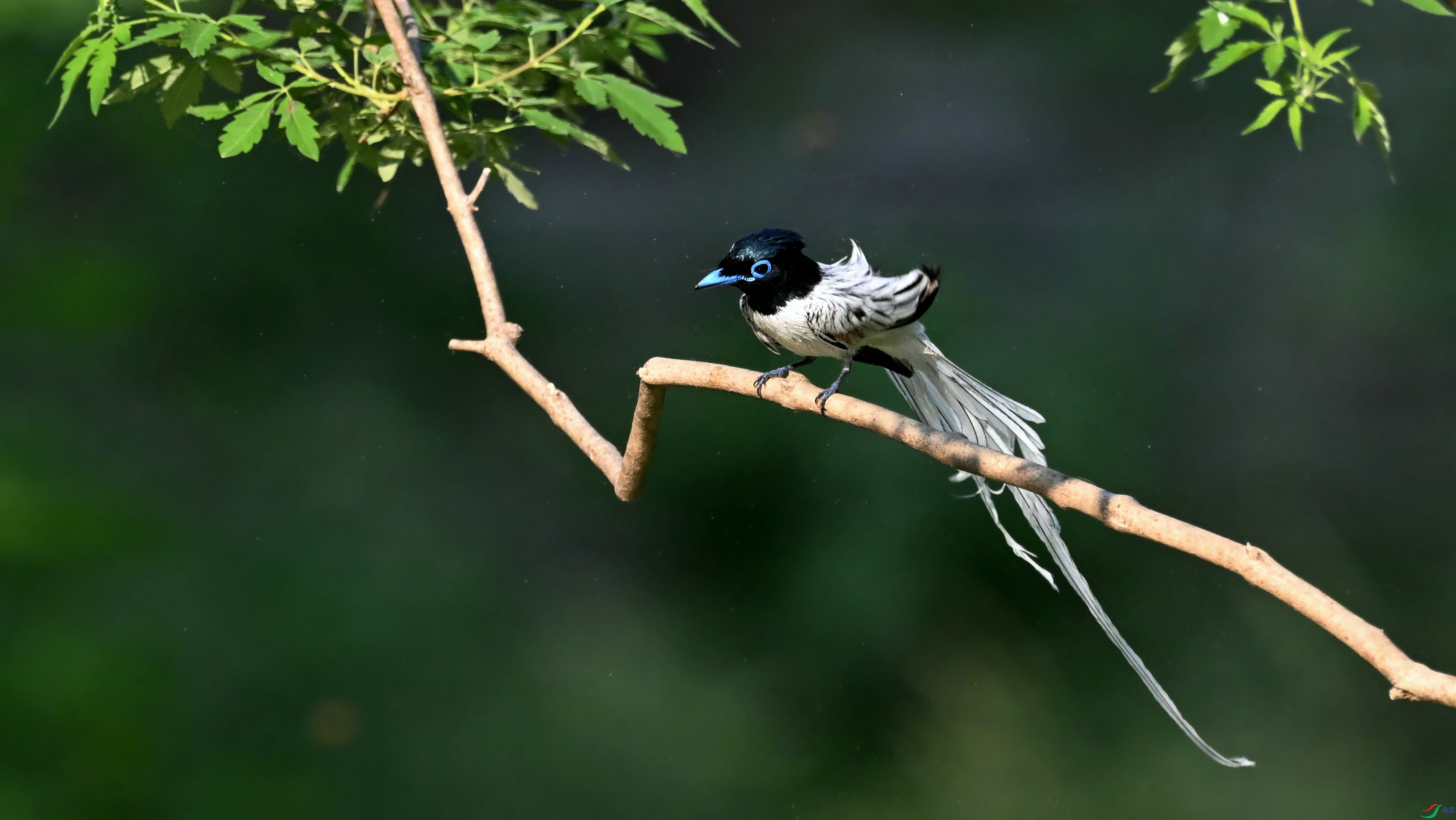 DSC_8976.JPG