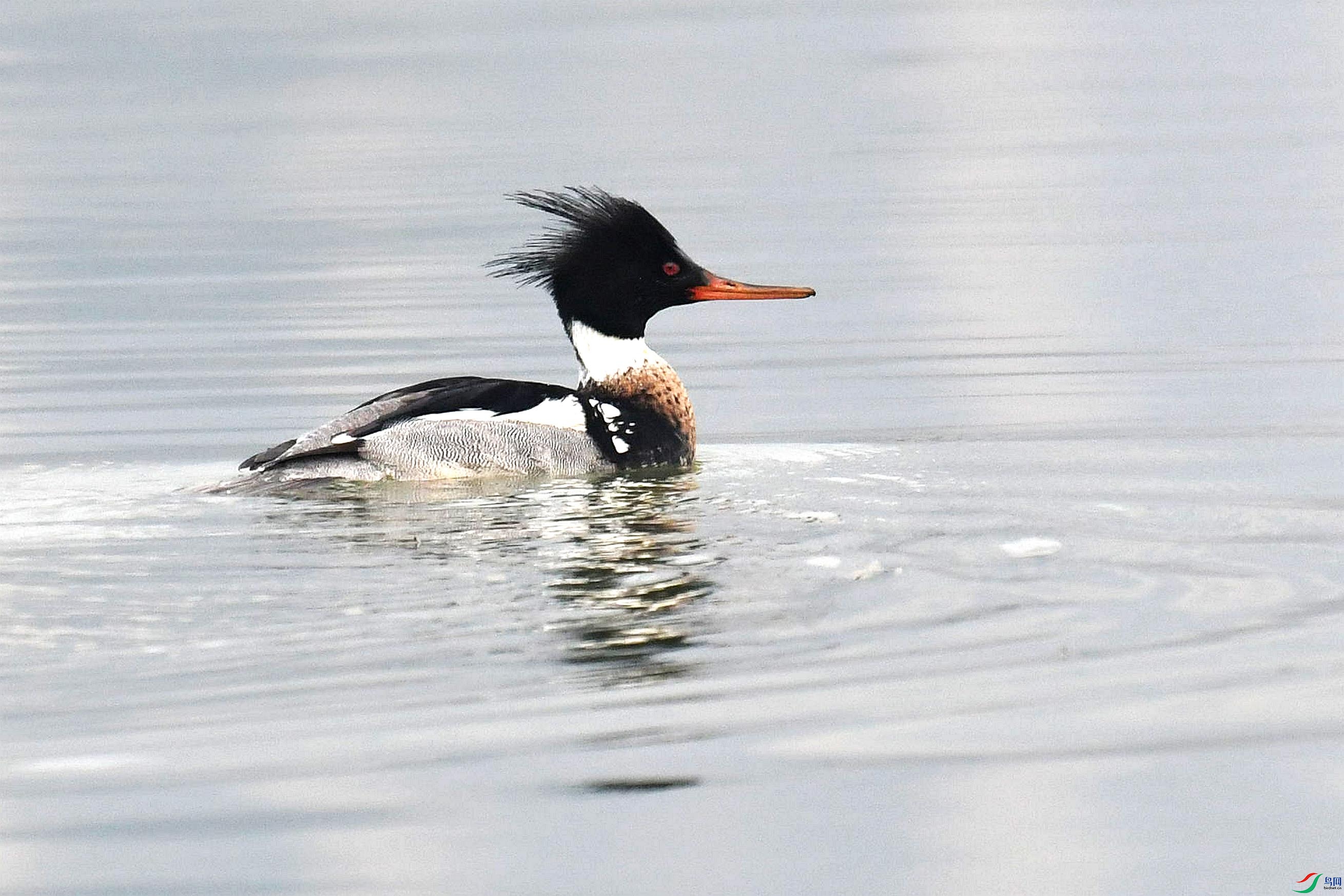 DSC_1473_����.jpg