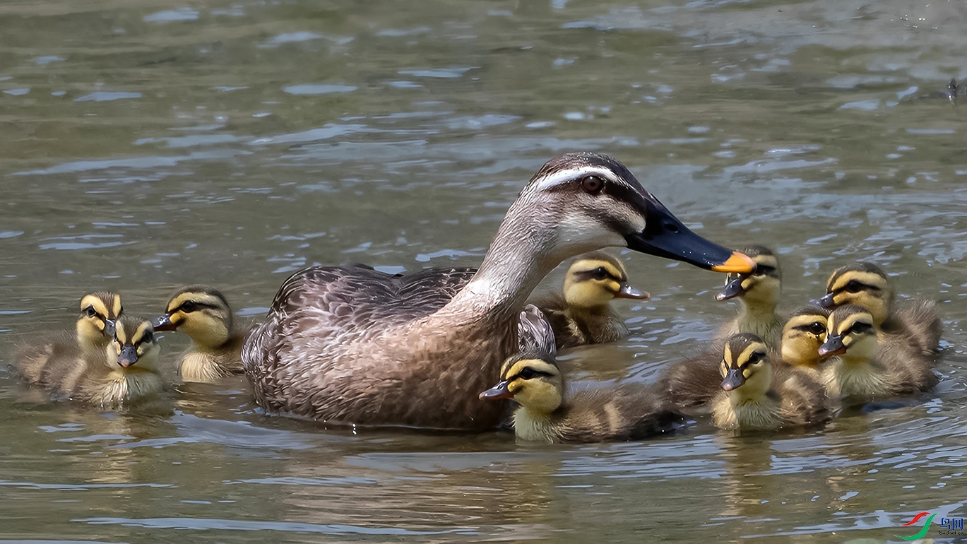 DSC_7355=.jpg