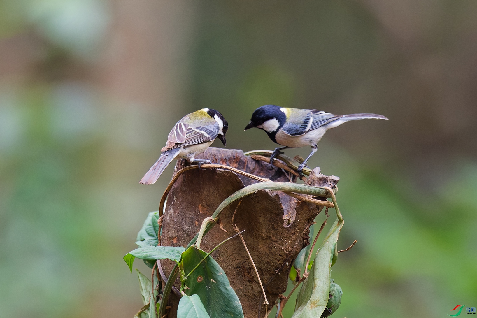 DSC_7323_DxO_DxOa.jpg