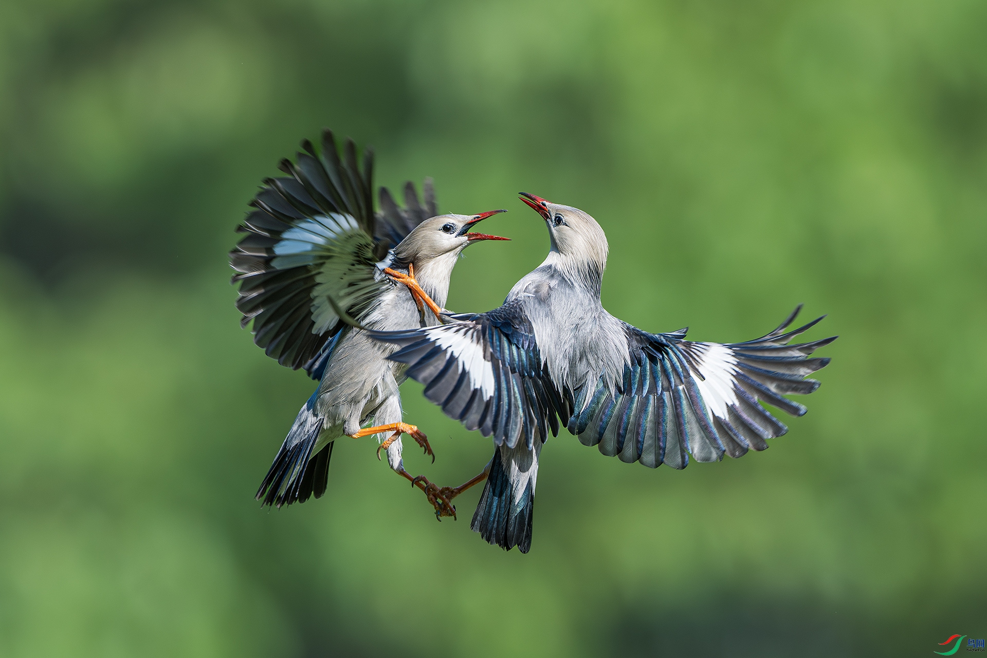 _DSC9831-����ǿ-NR ����С.jpg