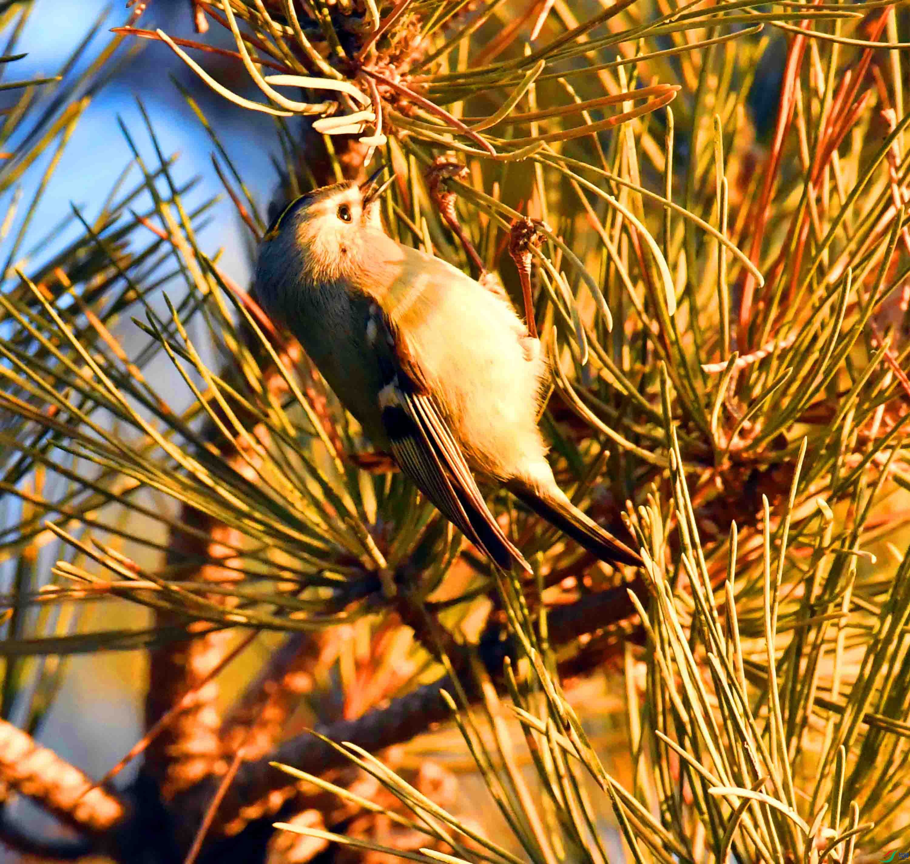 DSC_1429.JPG