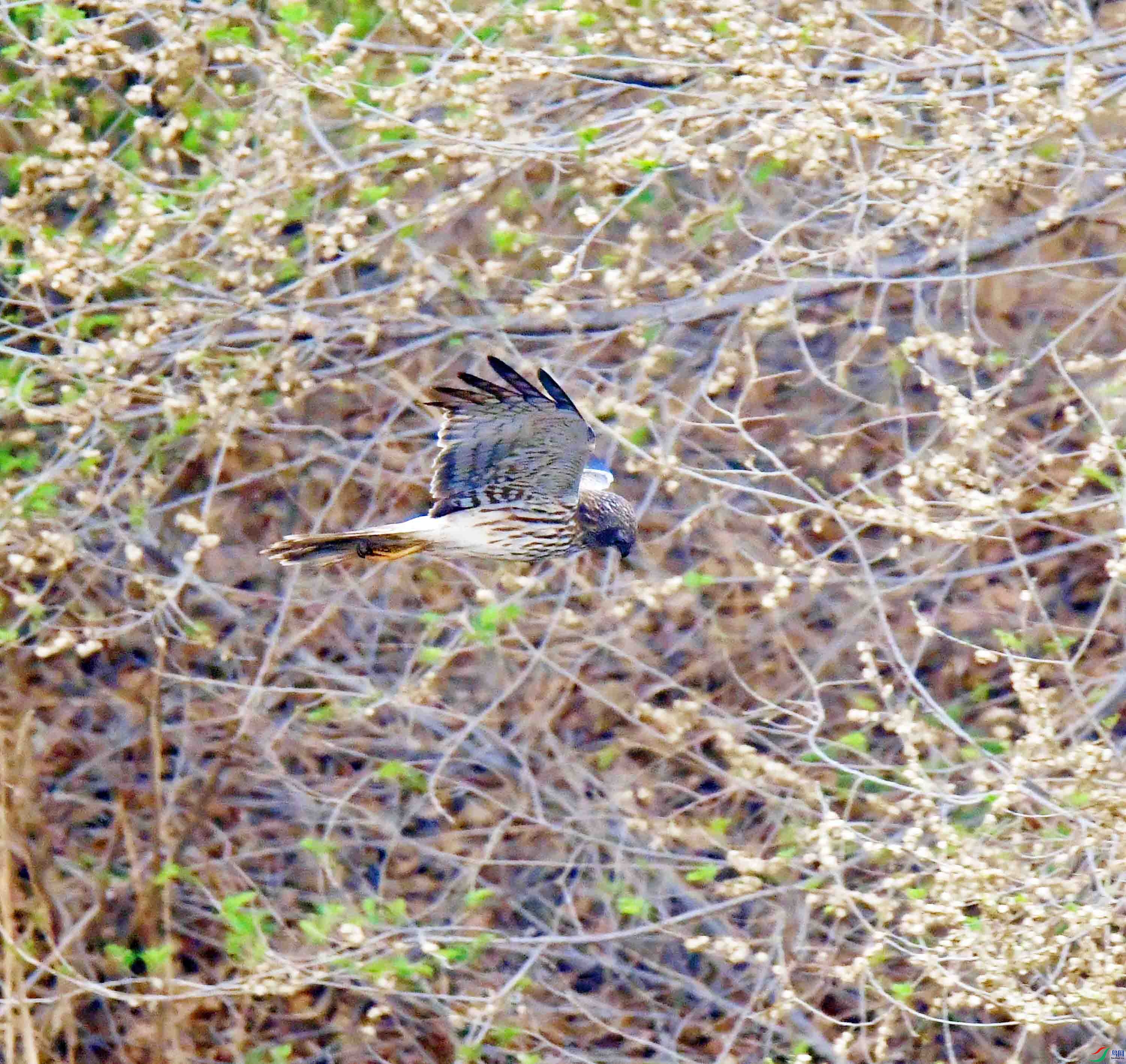 DSC_3202.JPG