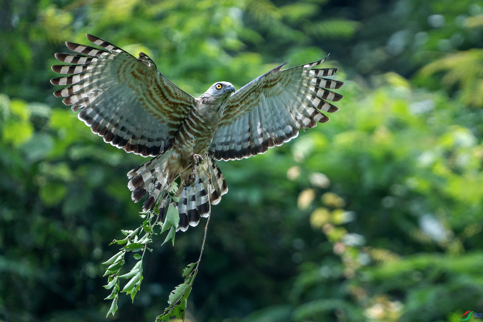 DSC02158 ����-1.jpg