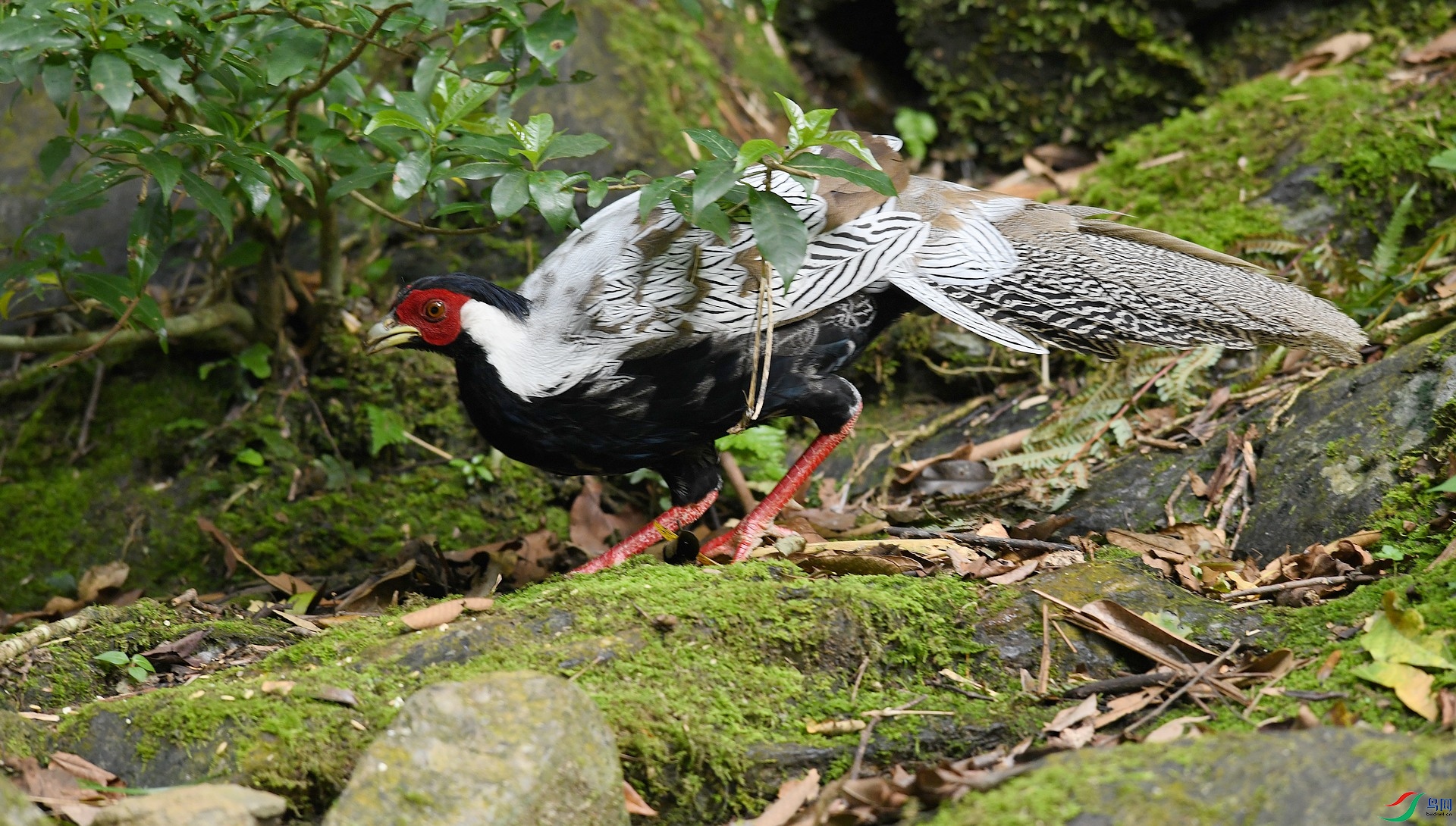 DSC_0246.jpg