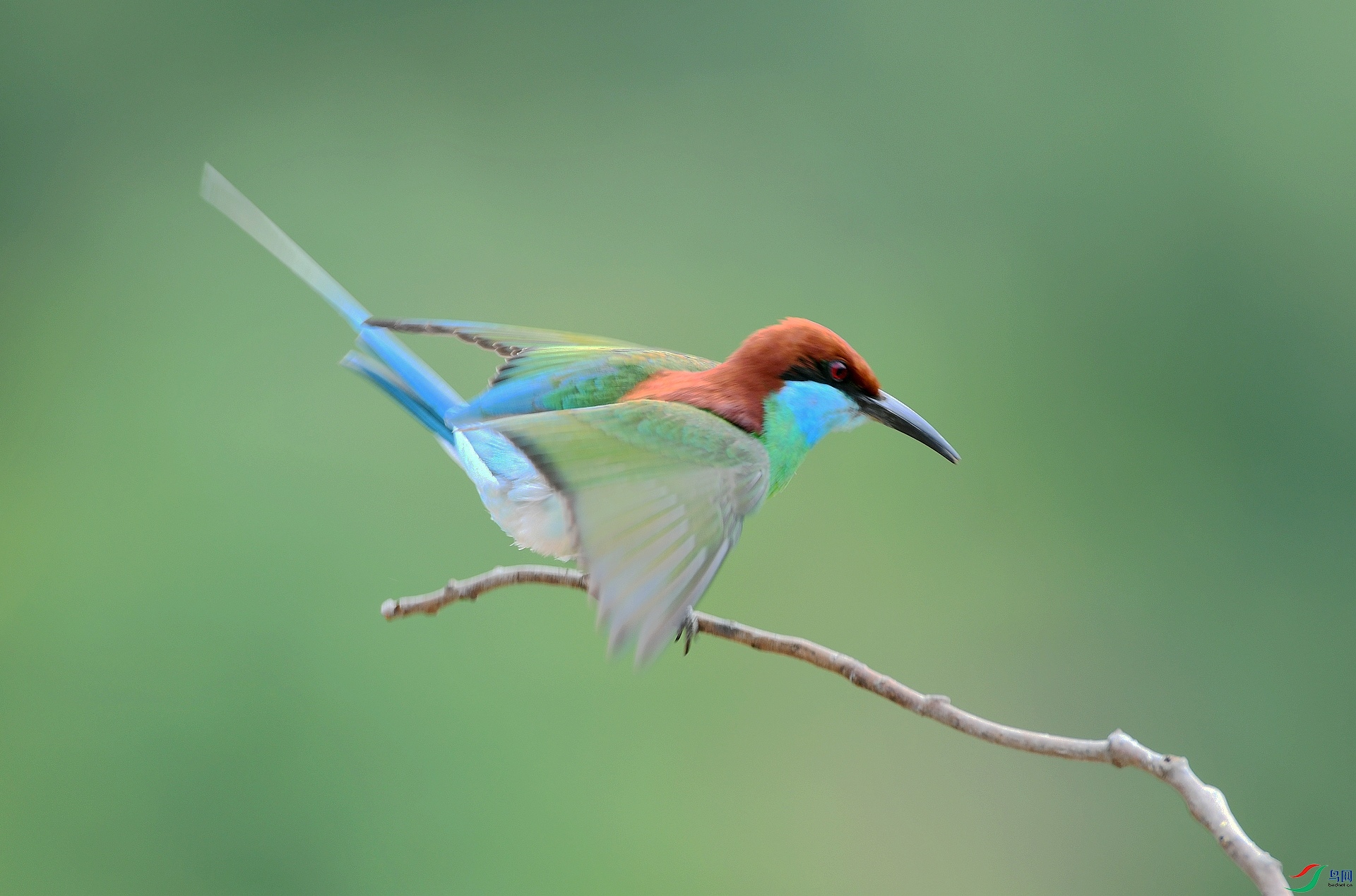DSC_2463.jpg