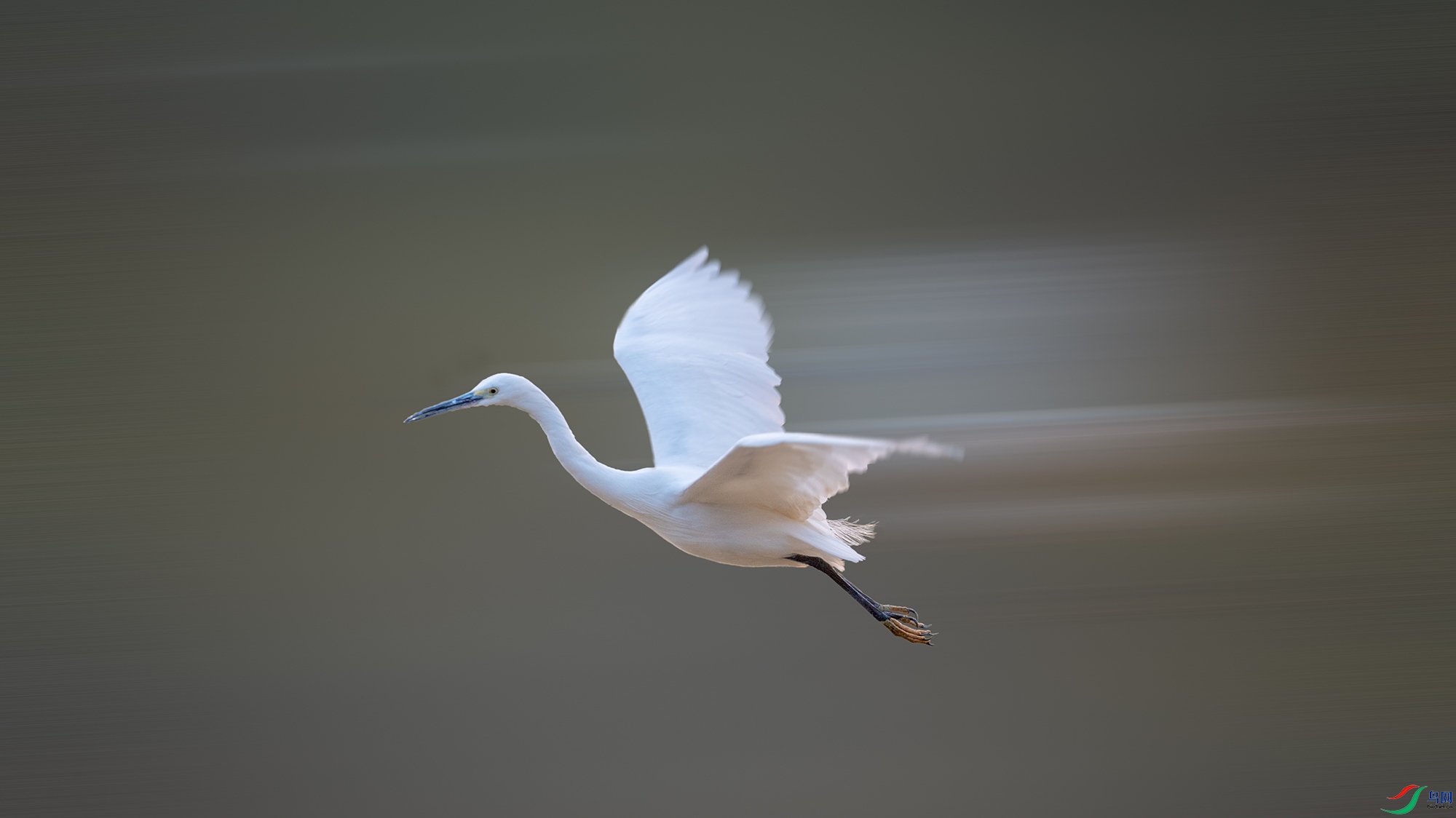 DSC_5471_.jpg