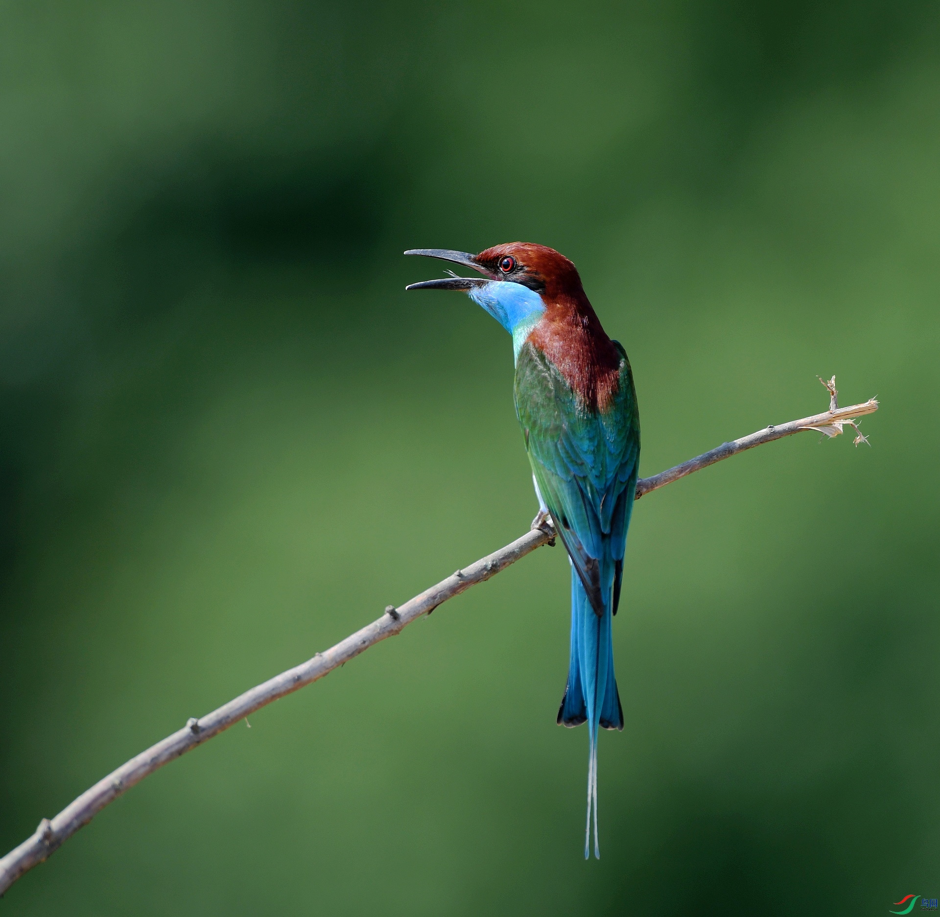 DSC_6897.jpg
