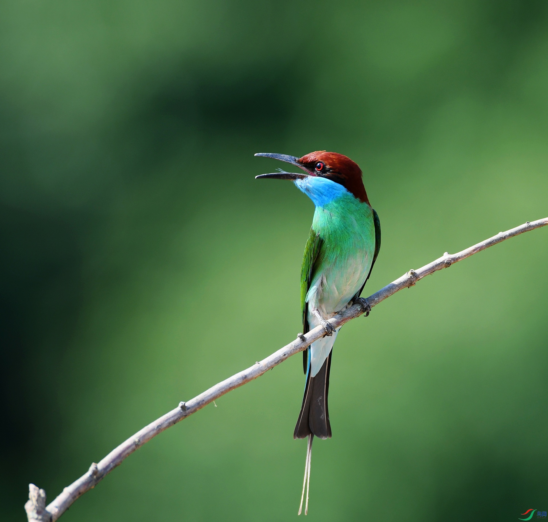 DSC_6889.jpg