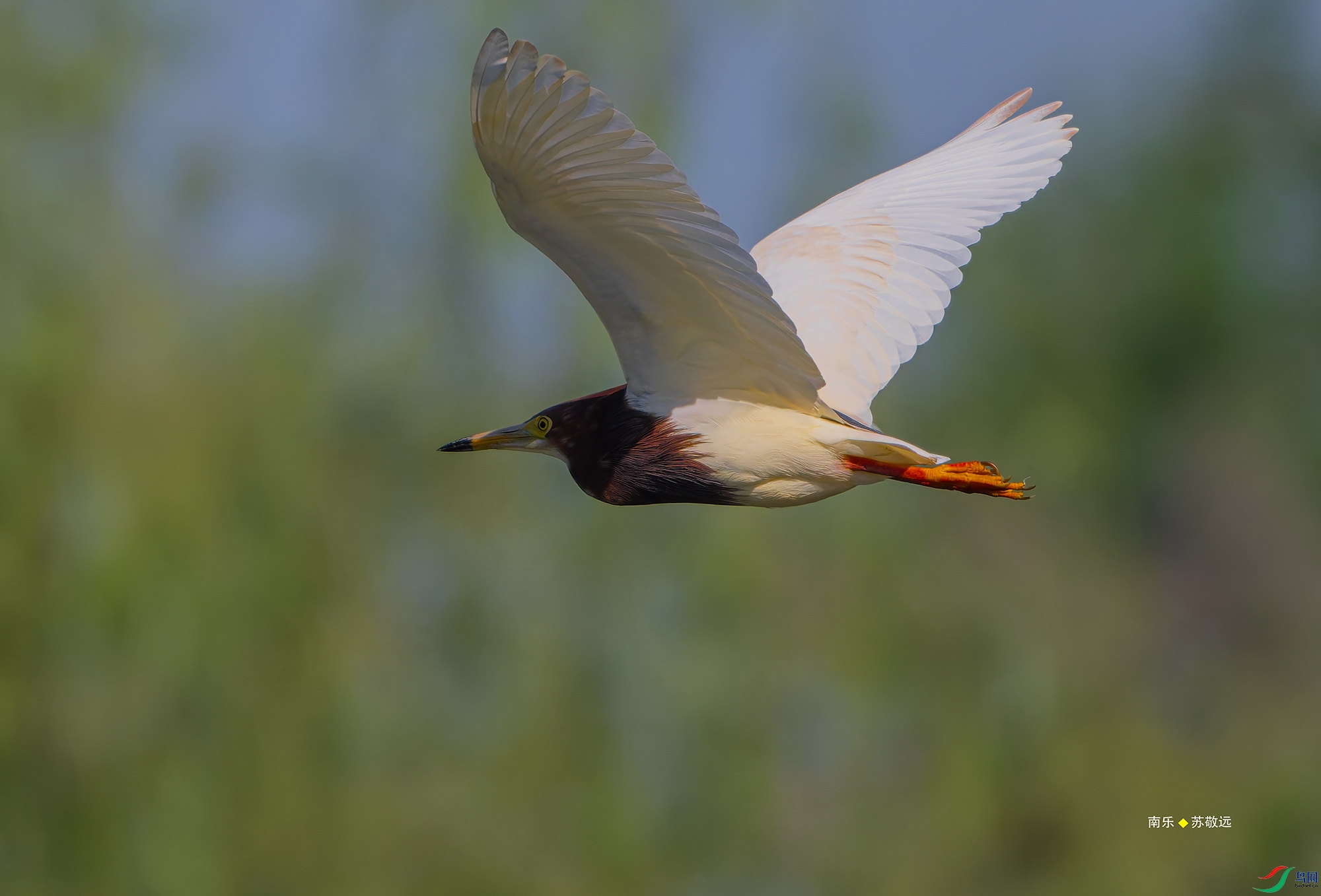 20250428-_DSC0635С.jpg