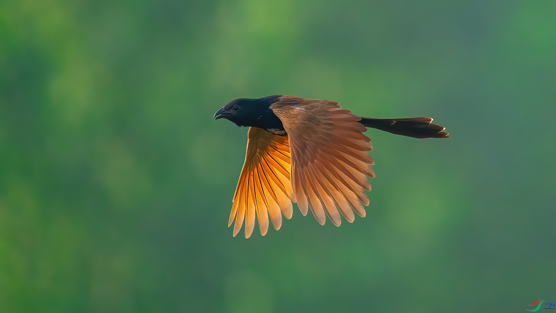 _DSC3106-1xx.jpg