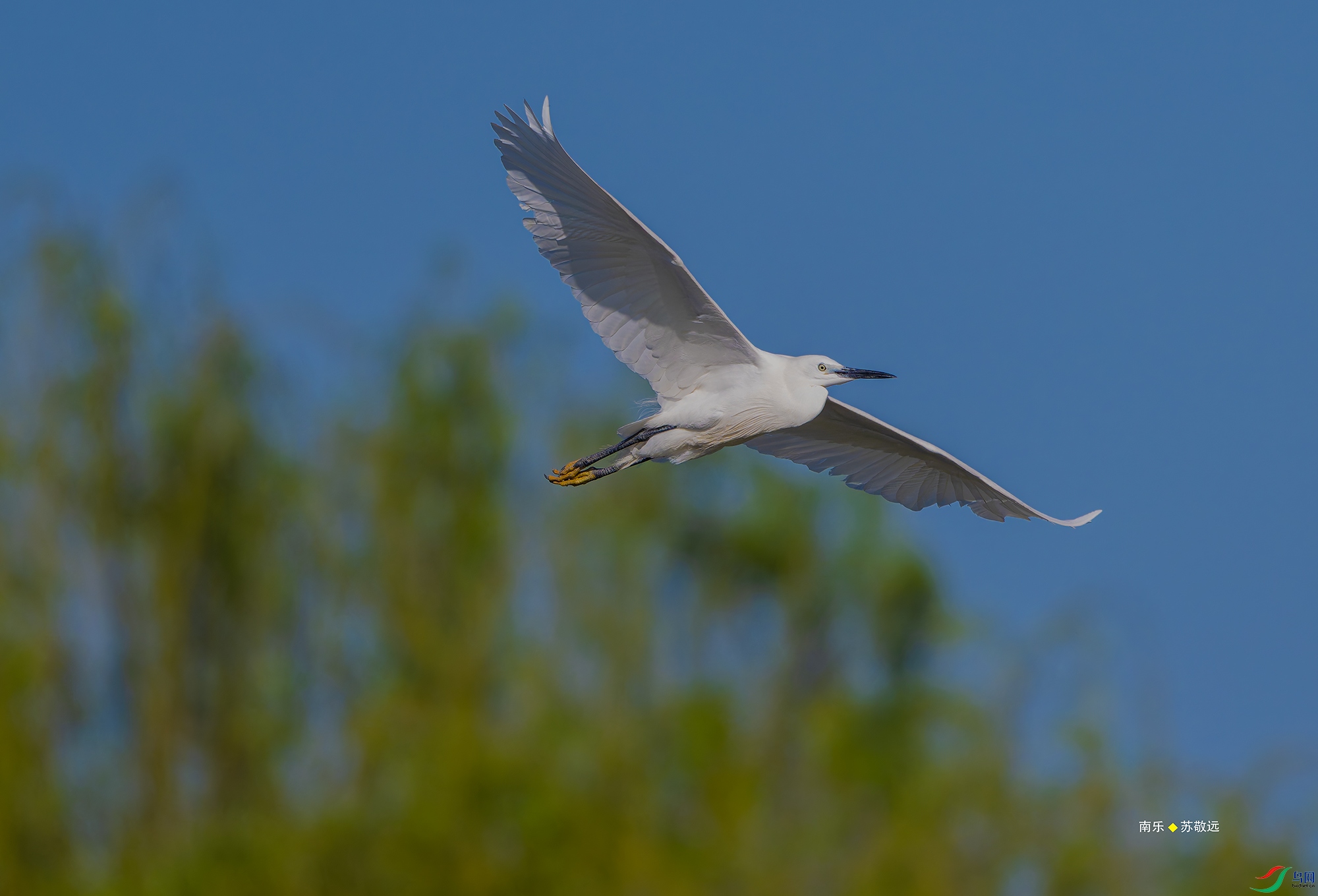 20250428-_DSC0857С.jpg