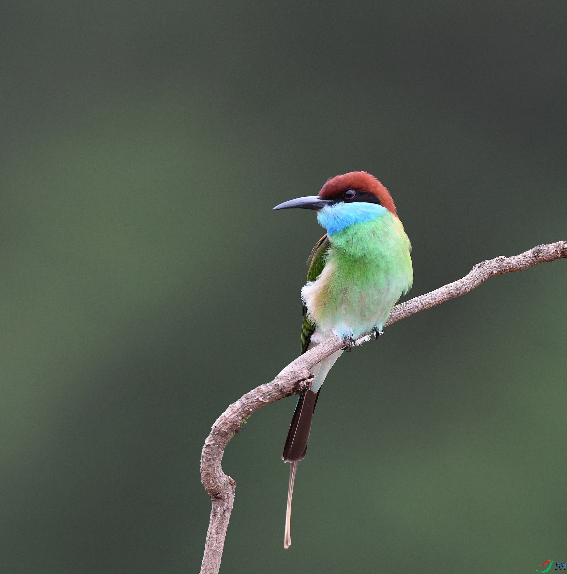 DSC_3110.jpg