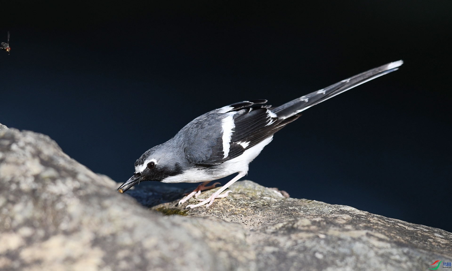 DSC_6731.jpg