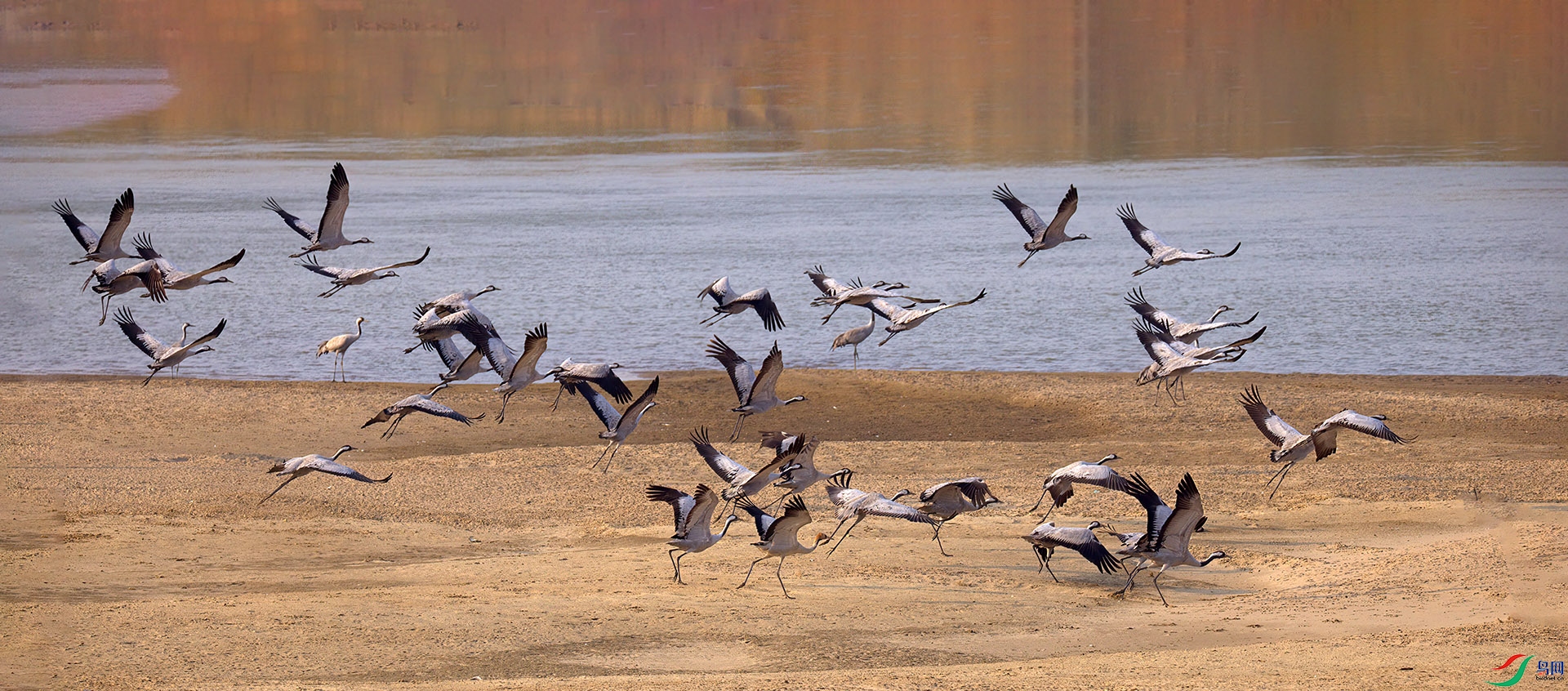 407A6944-Sh----1  .jpg