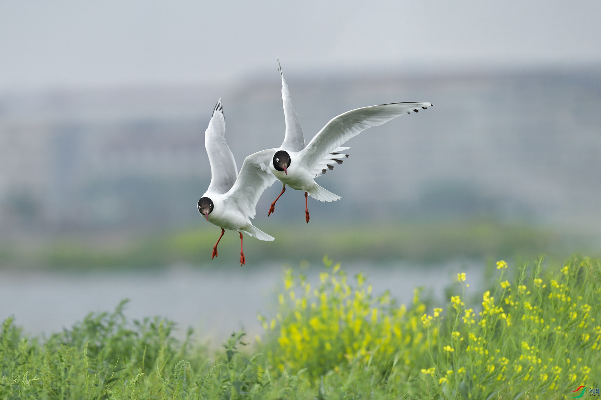 XQD_4100 ����.jpg