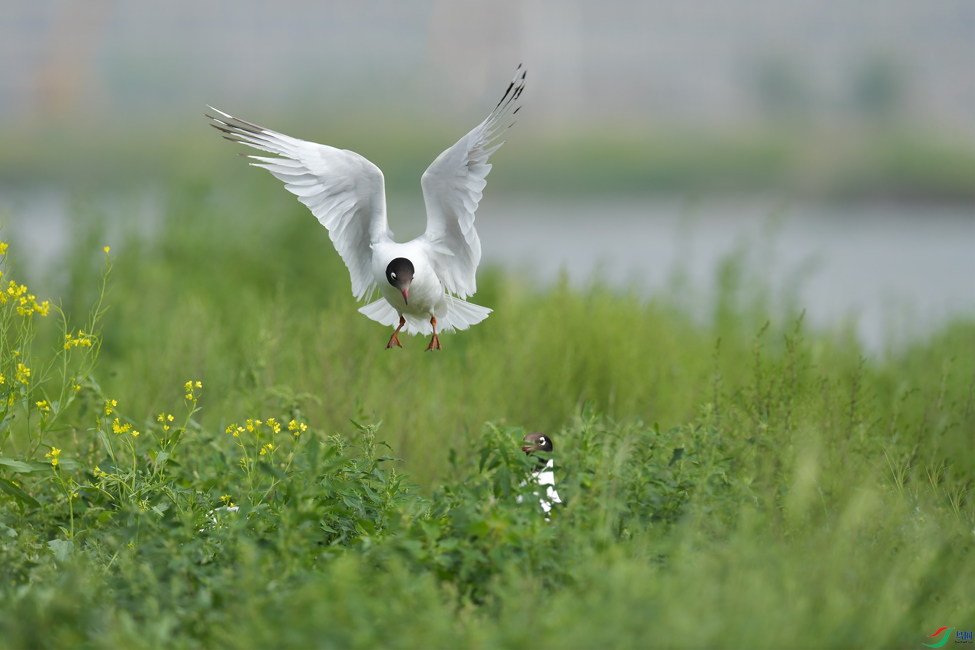 XQD_4446 ����.jpg