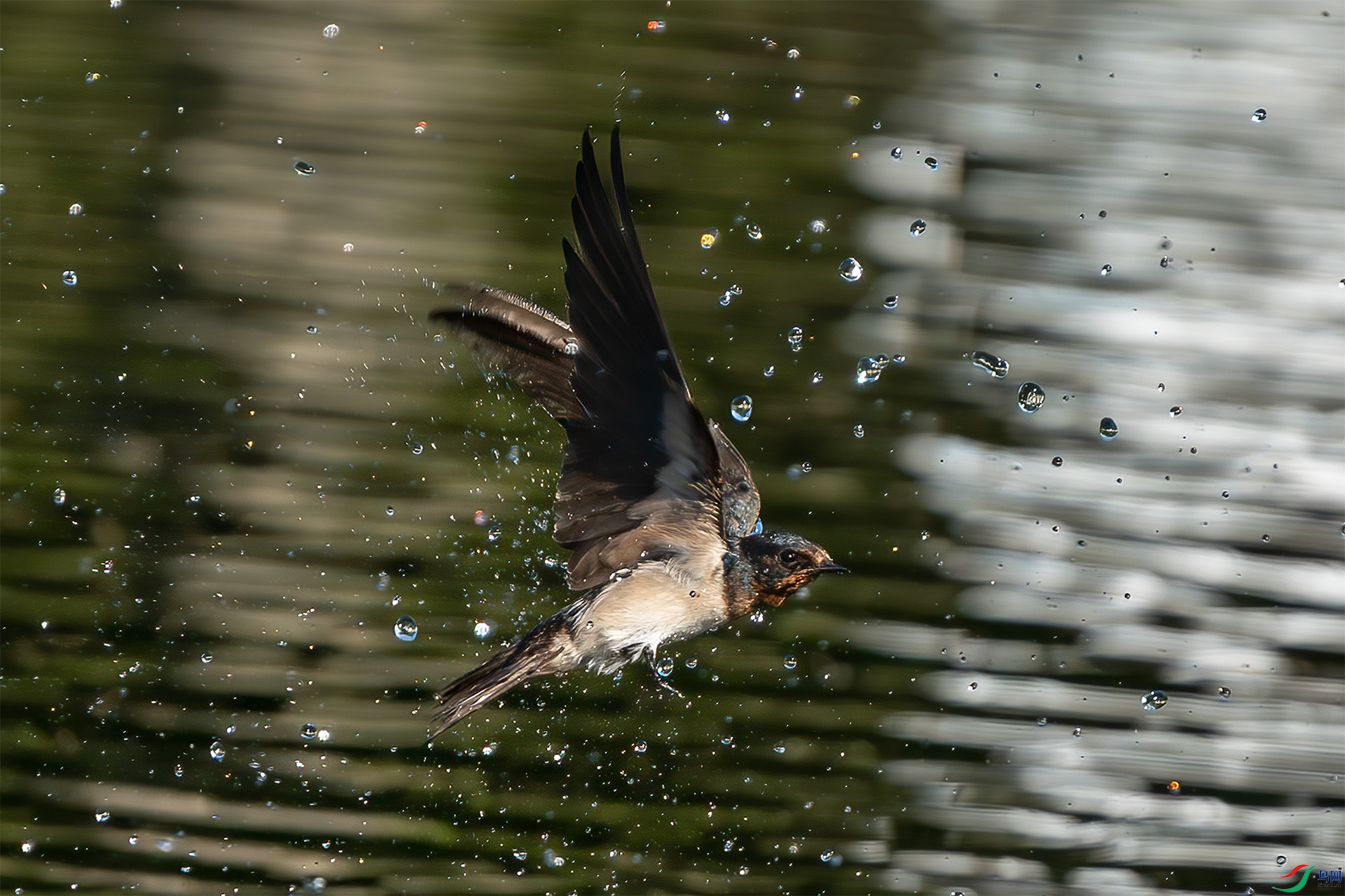 _DSC9683-.jpg