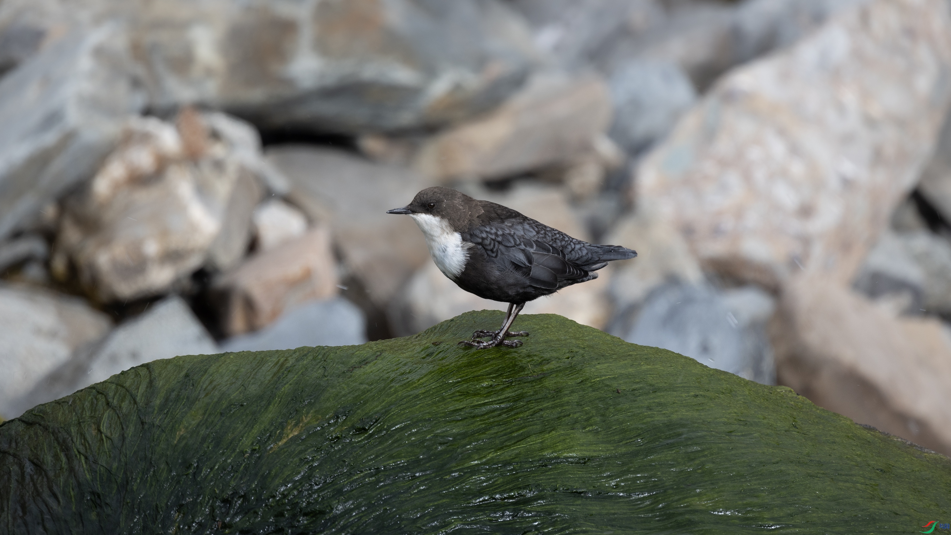 381A6273 ����.jpg