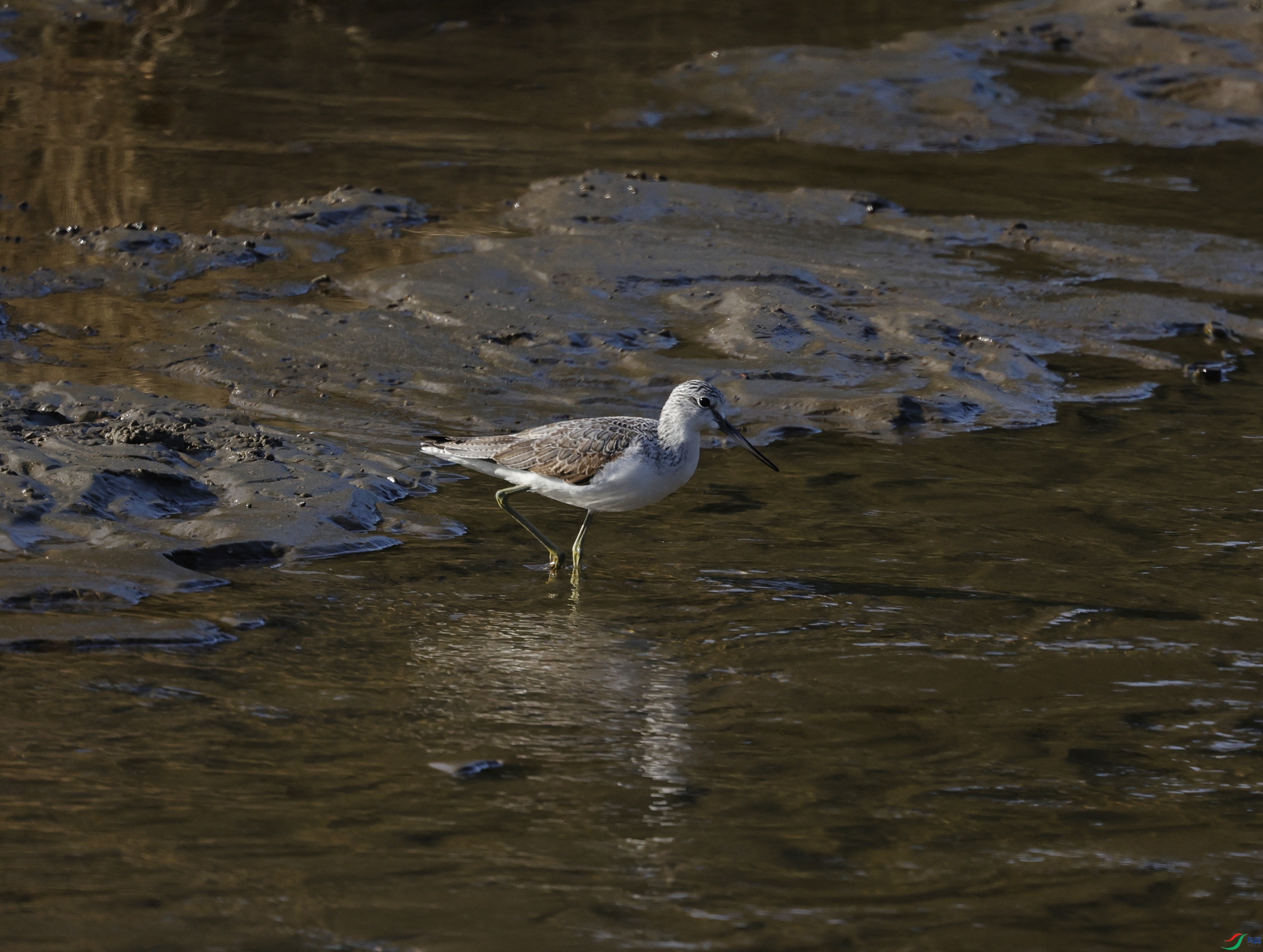 _O7A4650 ����.jpg