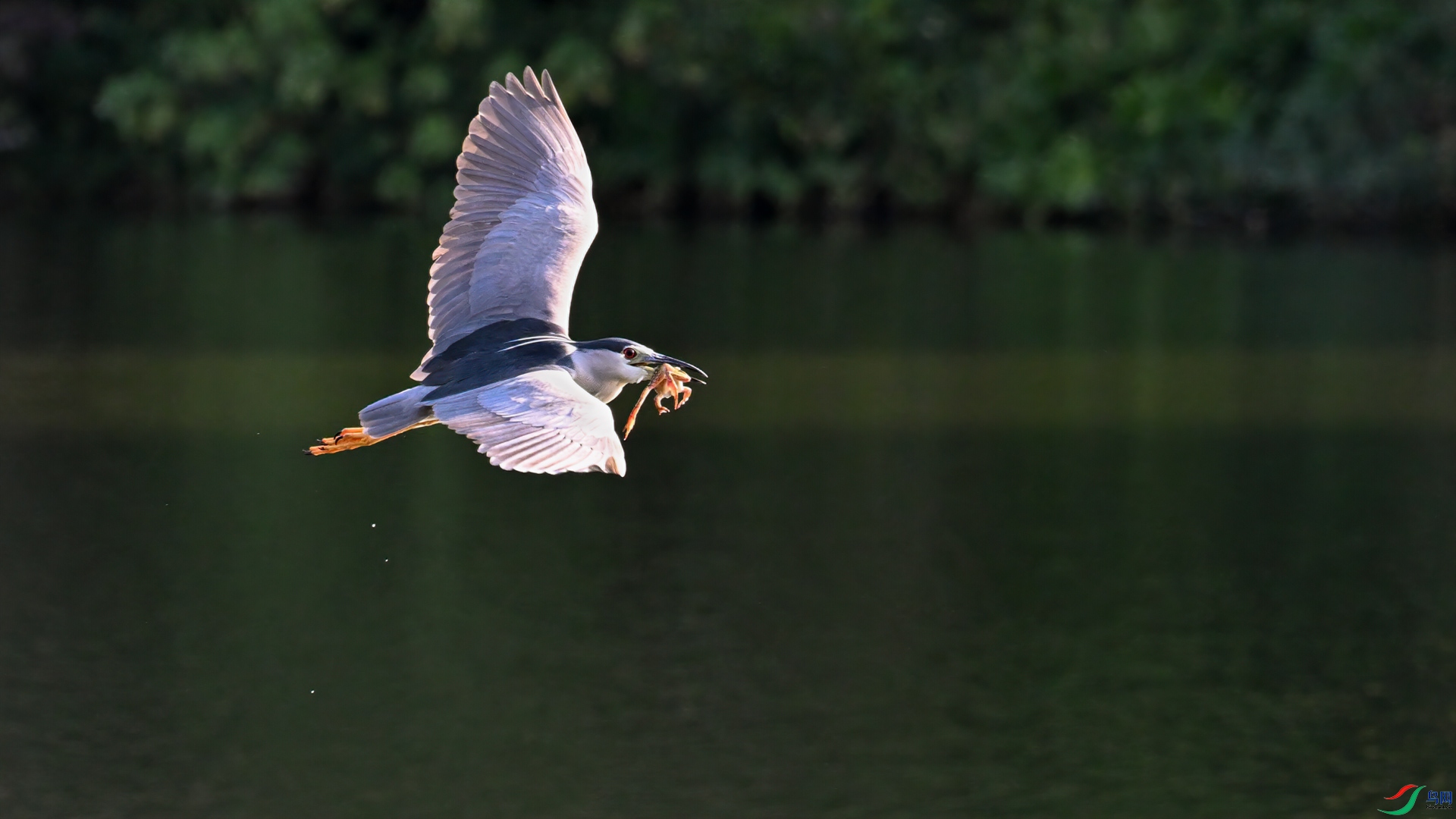 DSC_3271sen2025-2-8-187sen2025-2-9-91-�༭.jpg