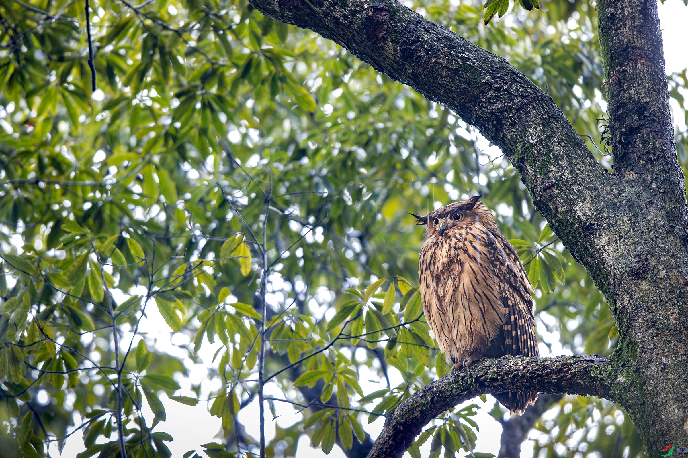 A15I8376-����ǿ-NR ����.jpg