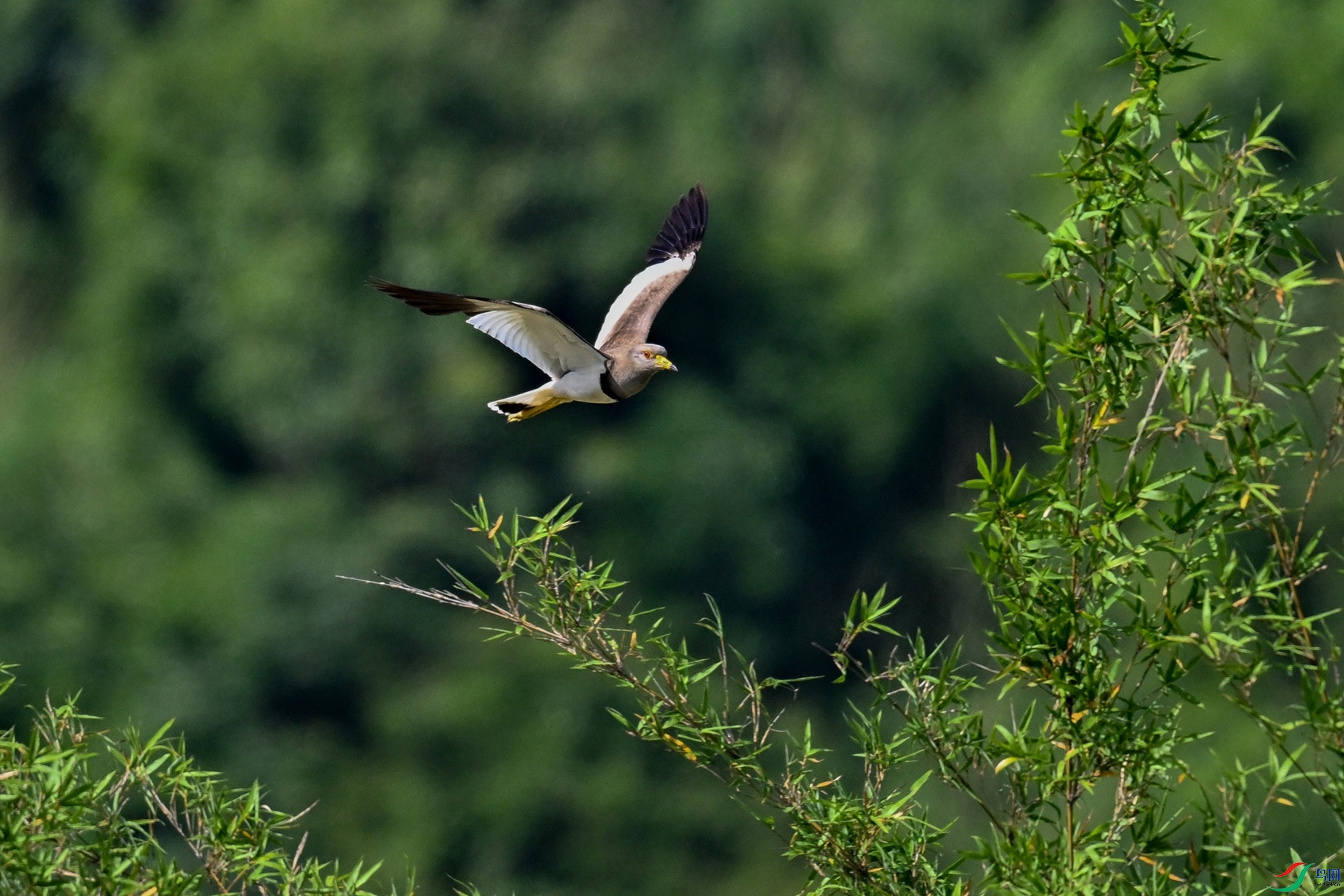 DSC_5212.JPG