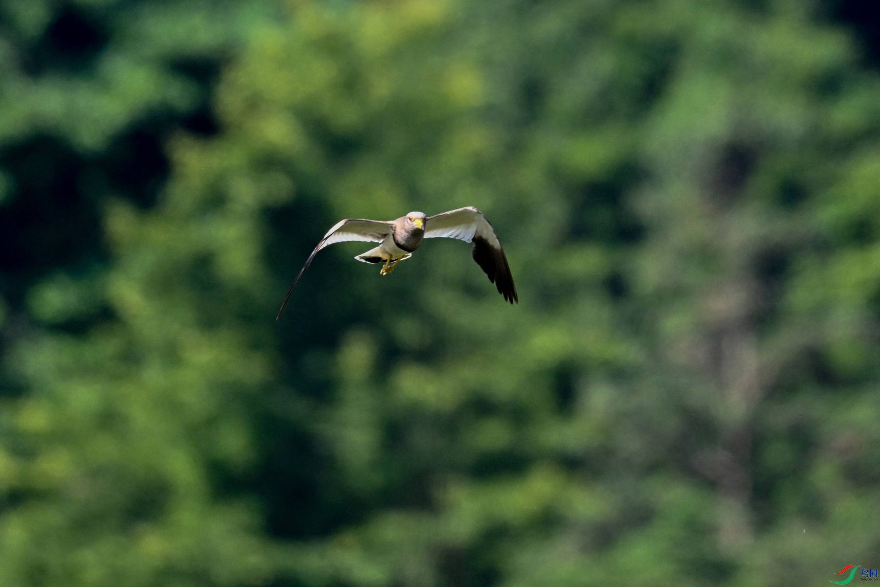 DSC_5217.JPG